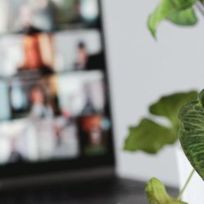 Houseplant leaves in foreground with blurred computer screen in background