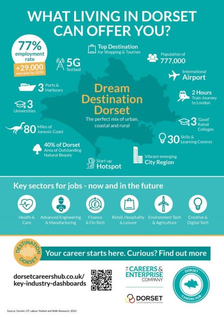 New Dorset Labour Market Information Posters